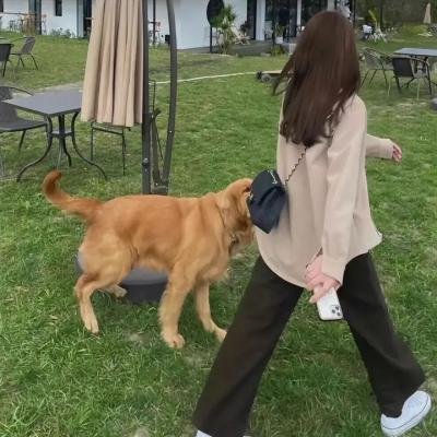 来去美国2