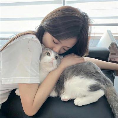 折翅蝴蝶